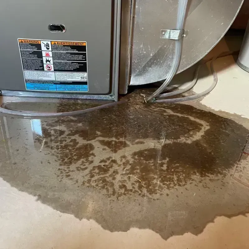 Appliance Leak Cleanup in Tangipahoa Parish, LA